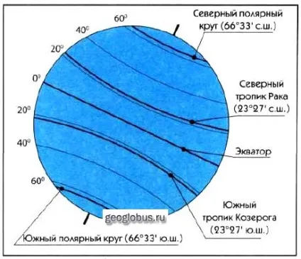 Лінії на глобусах і картах (глобусах) Лінії на глобусах і картах