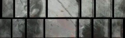 магічна література