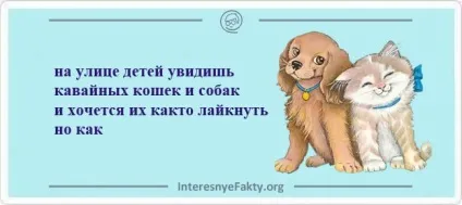 Кращі віршики порошки (віршики) Кращі віршики порошки