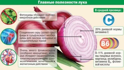 Цибуля ріпчаста користь і шкода, застосування в народній медицині (користь) Цибуля ріпчаста користь і шкода, застосування в народній медицині