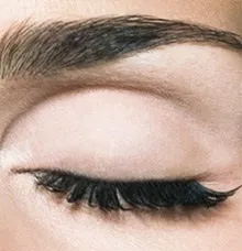 Макіяж зима 2009-2010 smokey eyes - модний вечірній макіяж ваших таємничих очей (smokey) Макіяж зима 2009-2010 smokey eyes - модний вечірній макіяж ваших таємничих очей