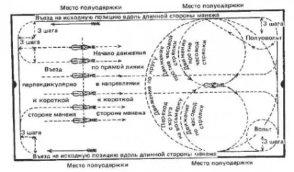 Манежна їзда - сайт про коней