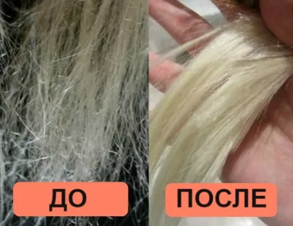 Маски для дуже сухого волосся в домашніх умовах - рецепти, відео (маски) Маски для дуже сухого волосся в домашніх умовах - рецепти, відео