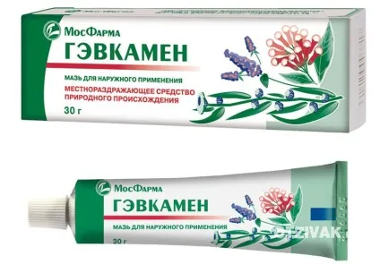 Мазь гевкамен інструкція із застосування (гевкамен) Мазь гевкамен інструкція із застосування
