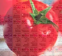 Мінерали в продуктах харчування (мінеральні речовини) Мінерали в продуктах харчування