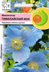Меконопсис гімалайський мак вирощування з насіння, посадка і догляд (фото) (догляд) Меконопсис гімалайський мак вирощування з насіння, посадка і догляд (фото)