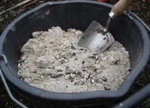 Меконопсис гімалайський мак вирощування з насіння, посадка і догляд (фото) (догляд) Меконопсис гімалайський мак вирощування з насіння, посадка і догляд (фото)