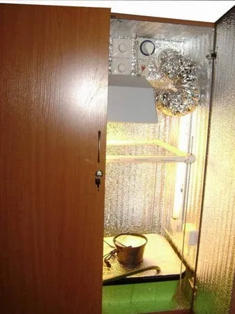 Міні теплиця своїми руками на дачі і будинки є і нескладно (міні) Міні теплиця своїми руками на дачі і будинки є і нескладно