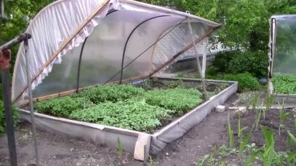Міні-парник своїми руками інструкція з фото (своїми) Міні-парник своїми руками інструкція з фото