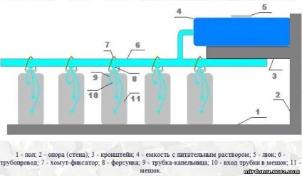 Світ будинку-вирощування полуниці цілий рік свою справу з нуля (дому) Світ будинку-вирощування полуниці цілий рік свою справу з нуля