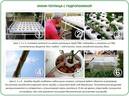 Міні теплиці своїми руками кращі проекти для дому та дачі (своїми) Міні теплиці своїми руками кращі проекти для дому та дачі