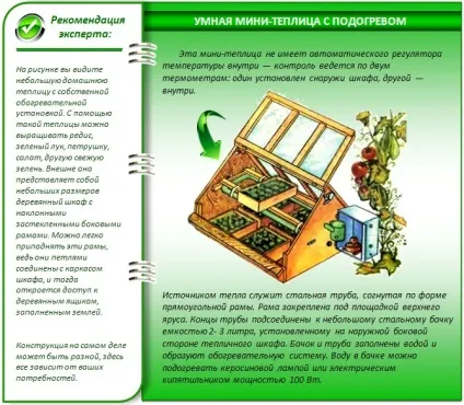 Міні теплиці своїми руками кращі проекти для дому та дачі (міні) Міні теплиці своїми руками кращі проекти для дому та дачі