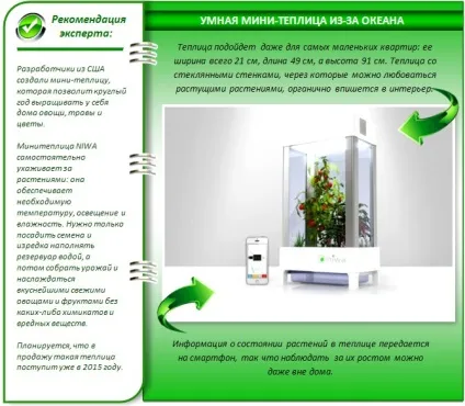 Міні теплиці своїми руками кращі проекти для дому та дачі (руками) Міні теплиці своїми руками кращі проекти для дому та дачі