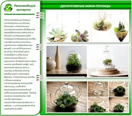 Міні теплиці своїми руками кращі проекти для дому та дачі (розумні міні-теплиці своїми руками) Міні теплиці своїми руками кращі проекти для дому та дачі