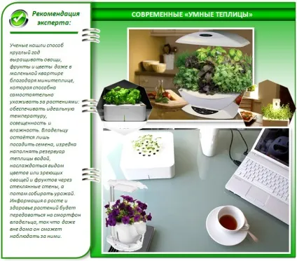 Міні теплиці своїми руками кращі проекти для дому та дачі (теплиці) Міні теплиці своїми руками кращі проекти для дому та дачі