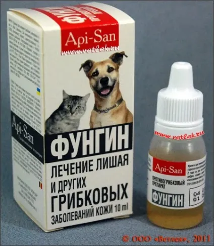 Місця під сонцем вистачить усім микроспория (лишай) (лишай) Місця під сонцем вистачить усім микроспория (лишай)