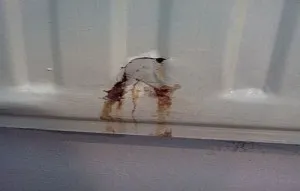 З допомогу яких підручних засобів і як усунути текти в батареї опалення