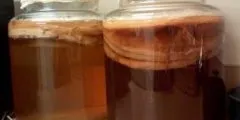 Морозник кавказький - застосування для схуднення (кавказький) Морозник кавказький - застосування для схуднення