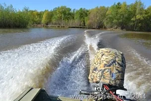 Потужність човнових моторів, лотос (потужність) Потужність човнових моторів, лотос
