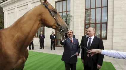 Морозиво, кіт і собака що дарував Сміла путин лідерам держав (путин) Морозиво, кіт і собака що дарував Сміла путин лідерам держав