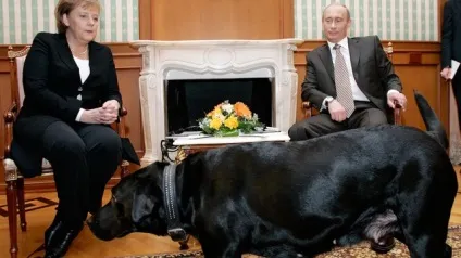 Морозиво, кіт і собака що дарував Сміла путин лідерам держав (путин) Морозиво, кіт і собака що дарував Сміла путин лідерам держав