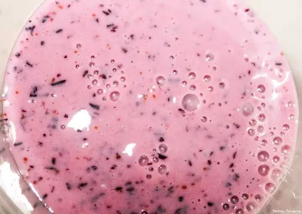 Морозиво з йогурту з ягодами покроковий рецепт приготування з фото і відео (морозиво) Морозиво з йогурту з ягодами покроковий рецепт приготування з фото і відео
