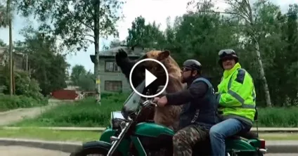 Чи можна померти від кави justd - просто цікаво! (Кількості) Чи можна померти від кави justd - просто цікаво!