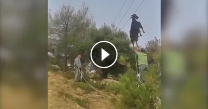 Чи можна померти від кави justd - просто цікаво! (Часу) Чи можна померти від кави justd - просто цікаво!