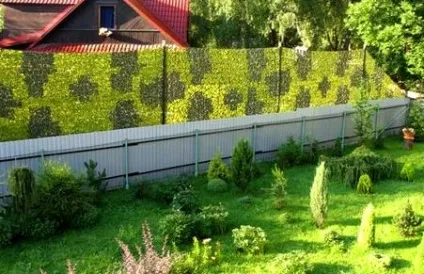 Чи можна ставити глухі паркани між сусідами і ділянками на дачі (можна) Чи можна ставити глухі паркани між сусідами і ділянками на дачі