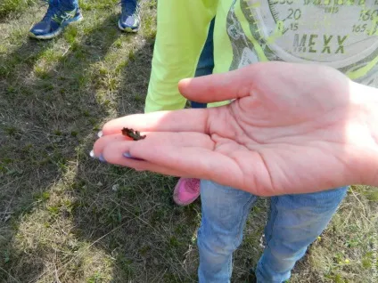 Музей-заповідник Дівногорье (Воронезька область), клуб мандрівників Лукас тур (ікони Божої Матері) Музей-заповідник Дівногорье (Воронезька область), клуб мандрівників Лукас тур