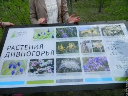Музей-заповідник Дівногорье (Воронезька область), клуб мандрівників Лукас тур (музей-заповідник) Музей-заповідник Дівногорье (Воронезька область), клуб мандрівників Лукас тур