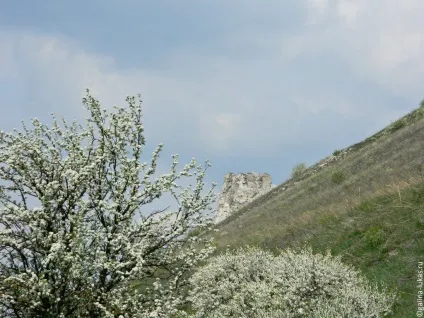 Музей-заповідник Дівногорье (Воронезька область), клуб мандрівників Лукас тур (Сицилійської ікони Божої) Музей-заповідник Дівногорье (Воронезька область), клуб мандрівників Лукас тур