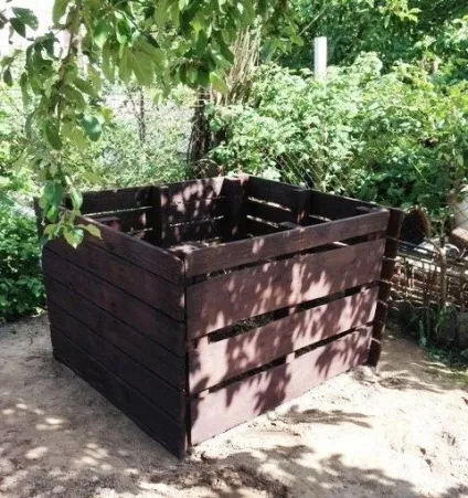 Мій досвід вирощування кавунів в Підмосков'ї (кавунів) Мій досвід вирощування кавунів в Підмосков'ї