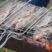 М'ясо, курка і риба на мангалі - 18 рецептів, добірка рецептів на (рецептів) М'ясо, курка і риба на мангалі - 18 рецептів, добірка рецептів на
