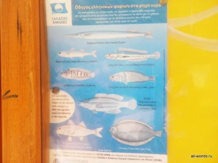 На машині по Халкідікі (це) На машині по Халкідікі