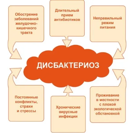 Народні методи лікування дисбактеріозу кишечника у дорослих (трави) Народні методи лікування дисбактеріозу кишечника у дорослих