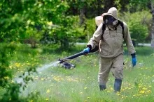 Нашестя - звідки стільки кліщів, офіційна сес и санепідемстанція (кліщів) Нашестя - звідки стільки кліщів, офіційна сес и санепідемстанція