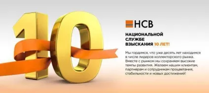 Національна служба стягнення