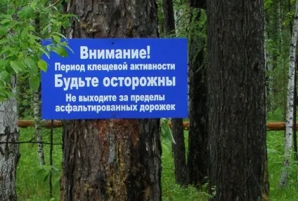 Нашестя - звідки стільки кліщів, офіційна сес и санепідемстанція (перебуваєте небезпечній зоні) Нашестя - звідки стільки кліщів, офіційна сес и санепідемстанція