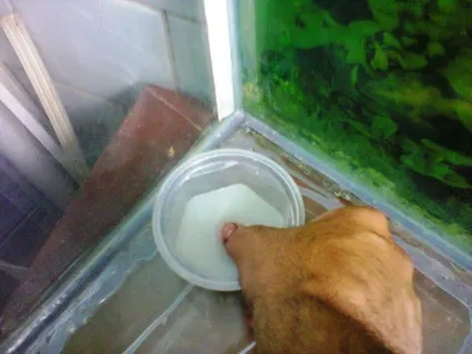 На стику акваріума сочиться вода, відремонтуємо його (стику) На стику акваріума сочиться вода, відремонтуємо його