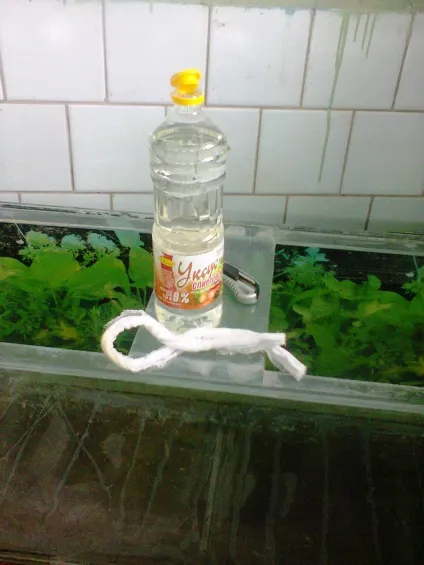 На стику акваріума сочиться вода, відремонтуємо його (акваріума) На стику акваріума сочиться вода, відремонтуємо його