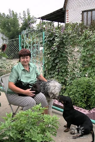 Не як кішка з собакою! Як два пса поважають кота