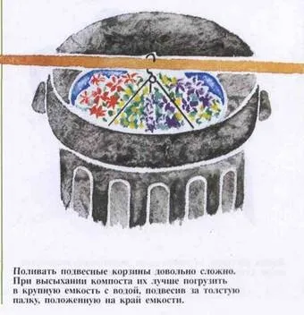Недостатній полив і як відновити рослина