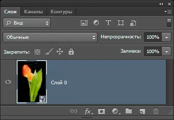 Призначення і застосування смарт-фільтрів в photoshop () Призначення і застосування смарт-фільтрів в photoshop