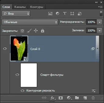 Призначення і застосування смарт-фільтрів в photoshop () Призначення і застосування смарт-фільтрів в photoshop