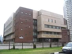 Новокосіно (район москви)