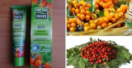 Нічний крем чиста лінія відгуки про живильний фіто-кремі для обличчя імпульс молодості з обліпихою (відгуки) Нічний крем чиста лінія відгуки про живильний фіто-кремі для обличчя імпульс молодості з обліпихою