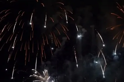 Ніч гаю фокса свято багать і феєрверків (ніч багать) Ніч гаю фокса свято багать і феєрверків