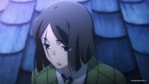 Огляд на аніме fate