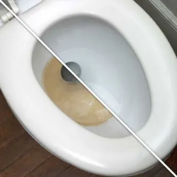 очищення унітазу